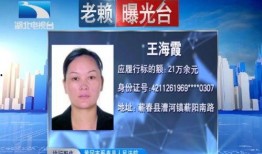 湖北最新爆料案件新闻,惊天大案震惊全国，案情细节披露！